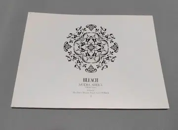 BLEACH 소책자 설정 자료 할리벨, 바라간, 아이젠 소스케