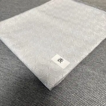 도쿄사변 시이나 링고 뉴스 원단