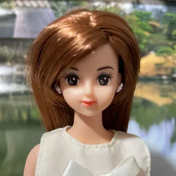 타카라 제니 프렌드 브라운 롱 헤어 인형 미츠키