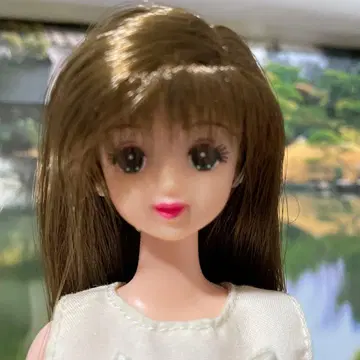 타카라 리카짱 프렌드 제니 브라운 머리 인형