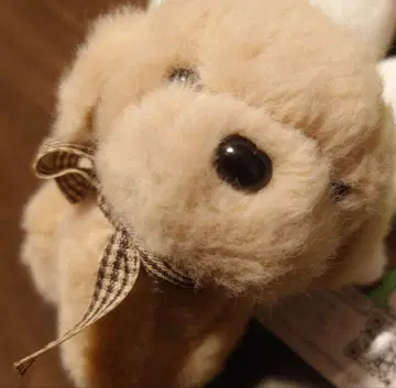 강아지 키링 봉제 인형 키체인