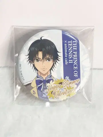 신 테니스의 왕자님 Happy Summer Valentine 에치젠 료마