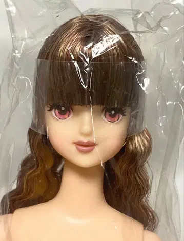 리카짱 캐슬 즐거운 인형 제니 프렌드 타마키