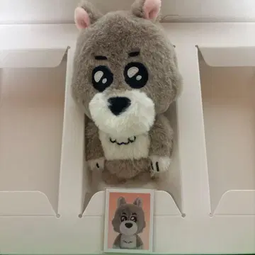 푸네크도 키링 재희 증명사진