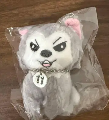 초특급 슈야 생일 굿즈 슈가르