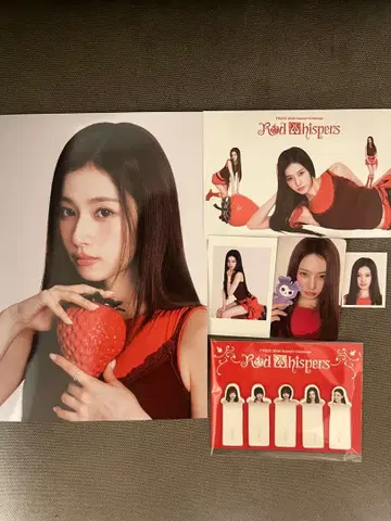 TWICE 한국 시즌 그리팅 2026 사나 SANA