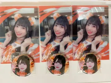 iLife 무도관 가챠 굿즈 코구마마무 아이돌 사진 3장과 캔뱃지 세트