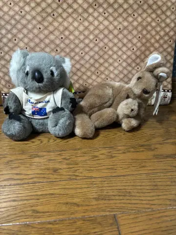 코알라와 캥거루 봉제 인형 호주