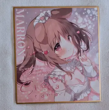 시라타마 온리샵 트레이딩 미니 색지 멜론북스 한정판