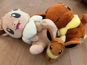포켓몬스터 포켓몬 봉제 인형 이브이 묶음 판매