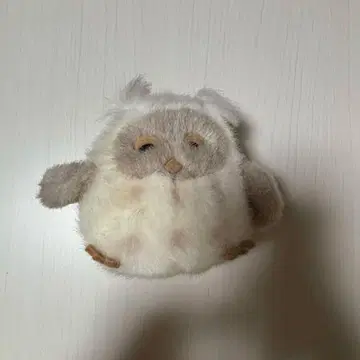 Oki 올빼미 봉제 인형