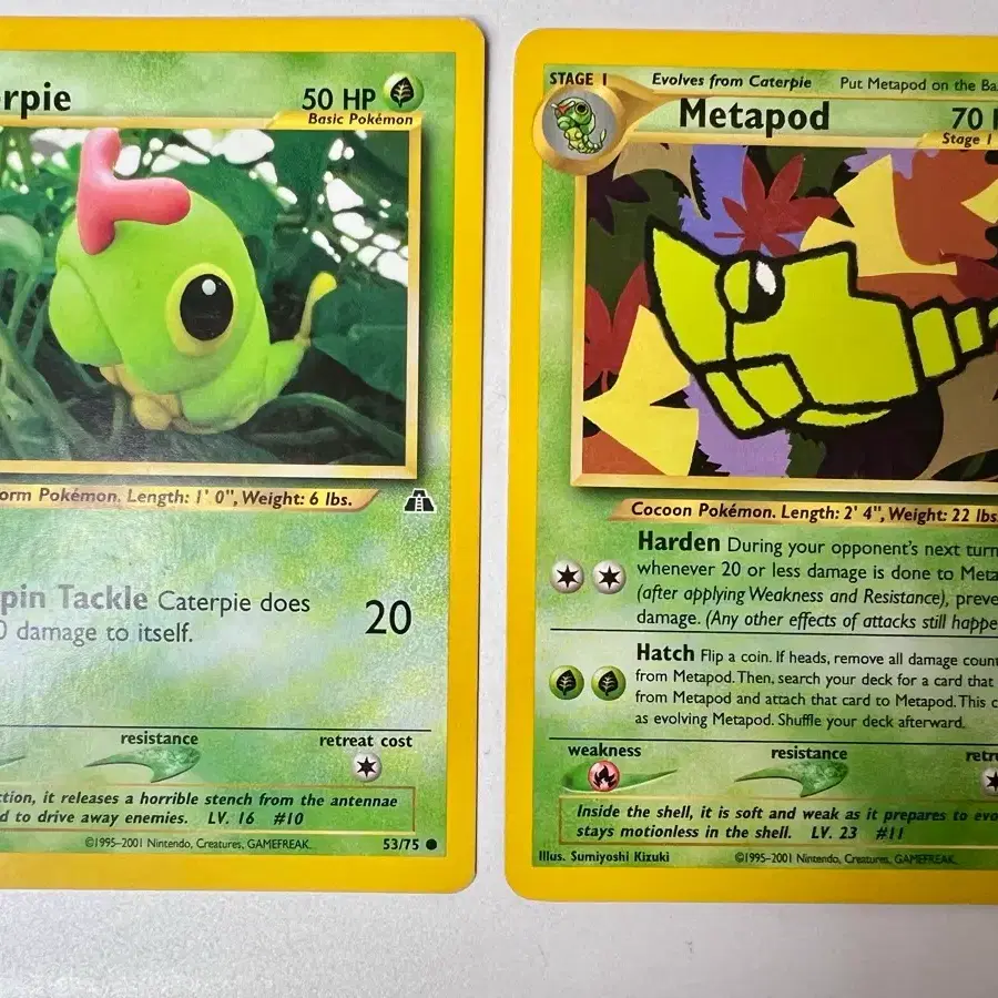Rare English Edition) Pokmon, Pokmon Early Caterpie, Metapod Set Cards |  Bunjang Global