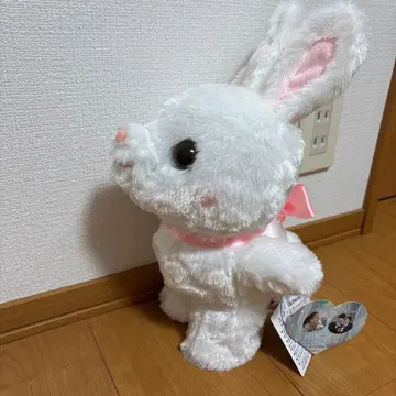 안녕하세요 토끼님 허니