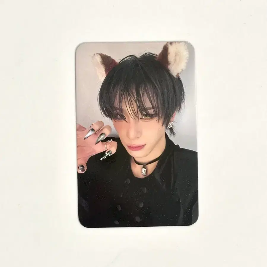 XLOV HARU unreleased photocard fox poca | Bunjang Global