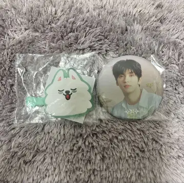 TXT 캡슐 토이 캔뱃지와 헤어핀