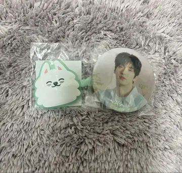 TXT 캡슐 토이 캔뱃지와 헤어핀