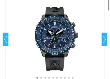 CITIZEN PROMASTER 에코드라이브 전파 CB5006-02L