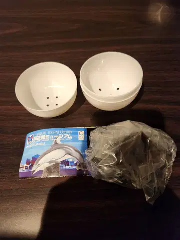 해유관 뮤지엄 네이처 테크니컬러 점박이돌고래 미개봉