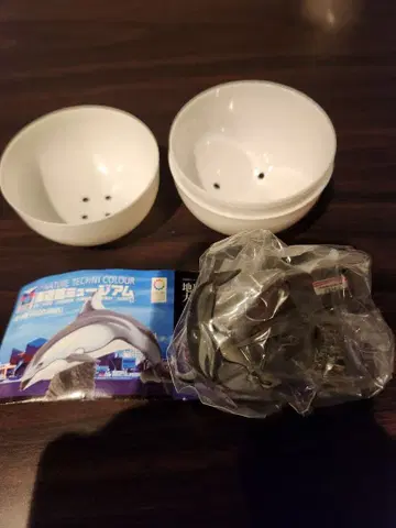 카이유칸 뮤지엄 네이처 테크니컬러 커먼 돌고래 미개봉