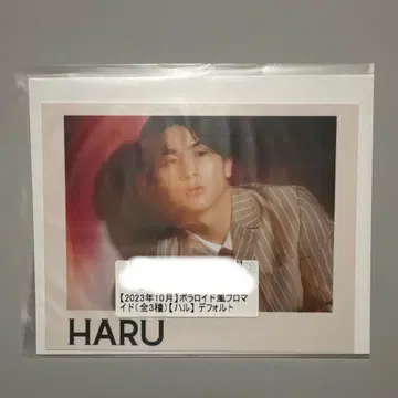 초특급 하루 카시와기 유 키라리 스크래치 폴라로이드풍 브로마이드