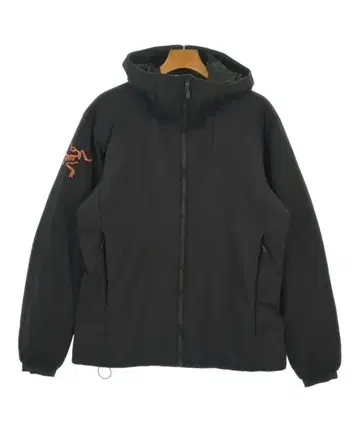 ARC'TERYX 블루종 (기타) 남성용