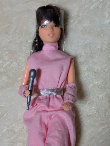 핑크 레이디 피규어 쇼와 레트로