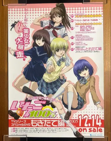 딸기 100% DVD 매장 홍보 포스터 당시 물품 B2