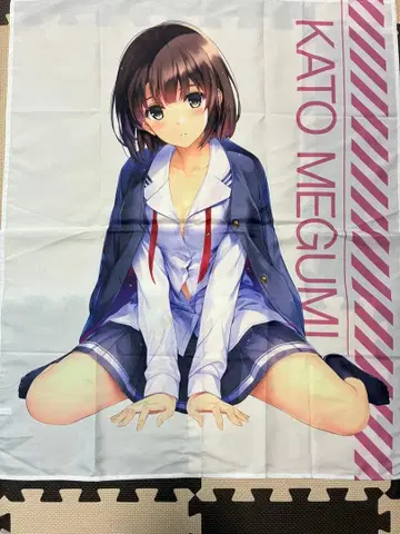 시원찮은 그녀를 위한 육성방법 카토 메구미 비주얼 크로스