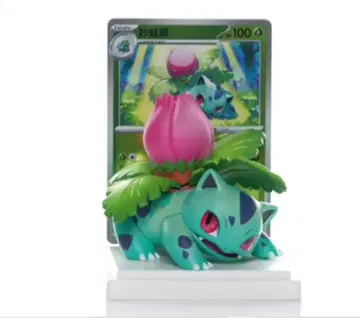 포켓몬 카드 게임 수집 151 피규어 중국 한정판 이상해풀 팩 봉입