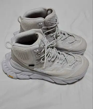 호카오네오네 텐나인 하이크 하이컷 통굽 고어텍스 비브람 밑창