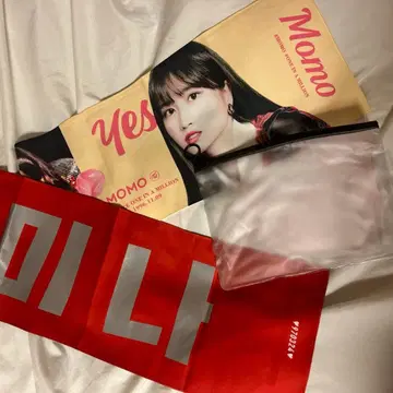 트와이스 미나 모모 슬로건