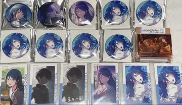 프로세카 호시노 이치카