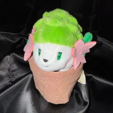 포켓몬 Grassy Gardening 쉐이미 봉제 인형