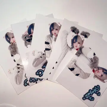 러브시크 하야테 2024년도 생일 축하제 굿즈