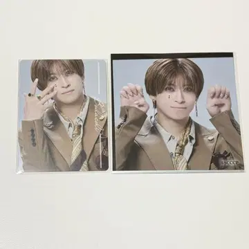 캐터리아 네일씰 혜택 카드 스퀘어 브로마이드 보더콜리 아카자와 토모