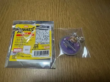 마블 라이벌즈 호크아이 아크릴 참