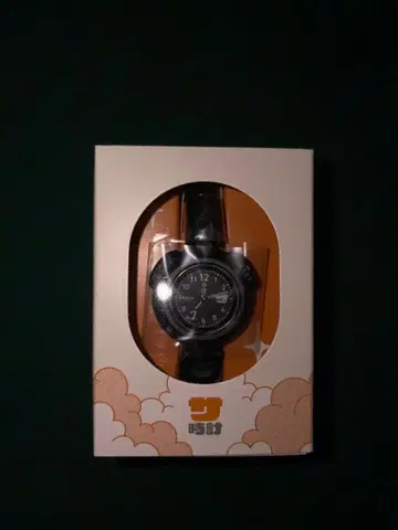 카시오 시계 블랙 SAN-100H-1BJR