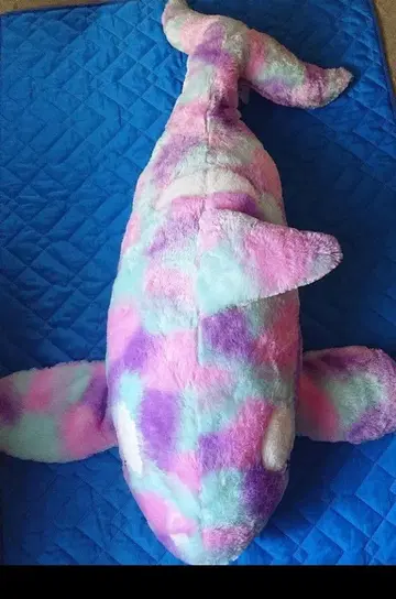 빅 범고래 오로라 봉제 인형