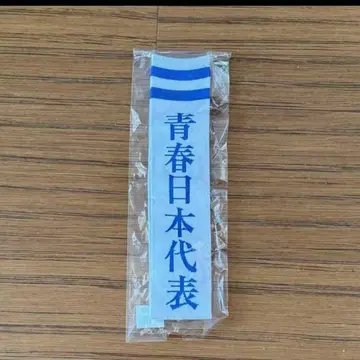 L 사이즈 [ 새상품 ] 새로운 학교의 리더즈 양말 삭스 청춘 일본 대표