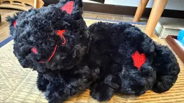 재발매 고양이 블랙 x 빨간색 요네즈 켄시 굿즈