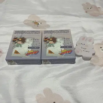 가정교사 히트맨 REBORN! 오야스미 아크릴 스트랩 미개봉 2점