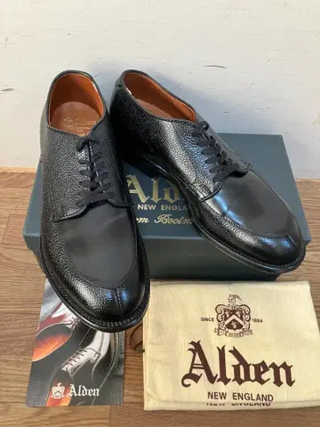 ALDEN 알든 N6602 V칩 BEAMS 별주 7D