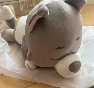 BOYNEXTDOOR 재현 쿠션