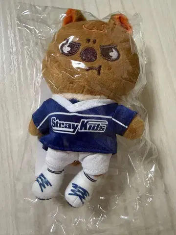 straykids 2024 JYP 백참 한