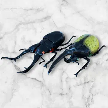 녹취의 수호신 무시바트론 헤라클레스 장수풍뎅이 기라파 톱사슴벌레