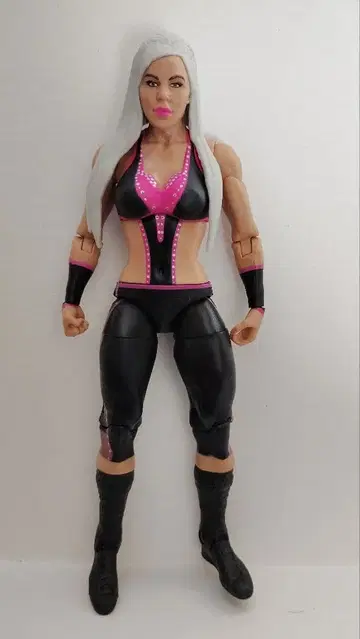 마텔사판 WWE 프로레슬링 피규어 디바 데이나 브룩