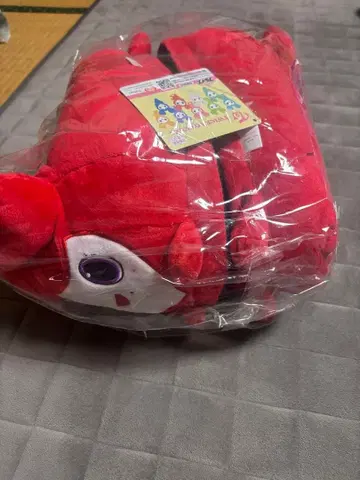 TWICE 첸 리 슬리퍼