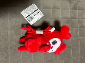 TWICE 첸브리 봉제 인형