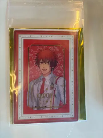 이치토키 오토야 비쥬카