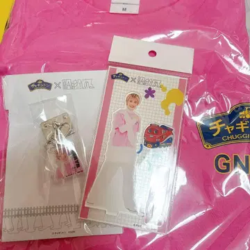 사쿠라기 마사야 차깅턴